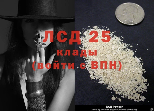 прущие грибы Абдулино