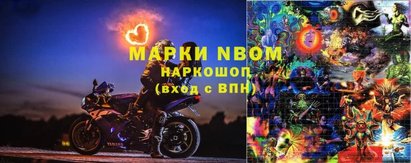 шишки Алексин