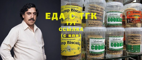 хмурый Алзамай