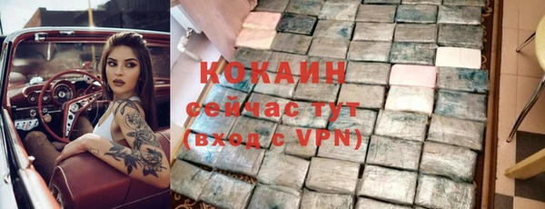 хмурый Алзамай