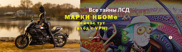 хмурый Алзамай