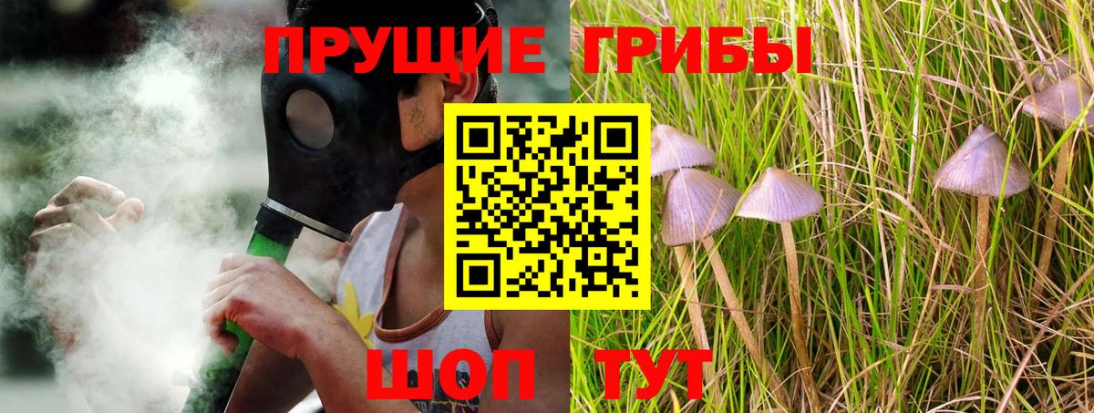 Псилоцибиновые грибы Psilocybine cubensis  Вход с VPN  Вологда 